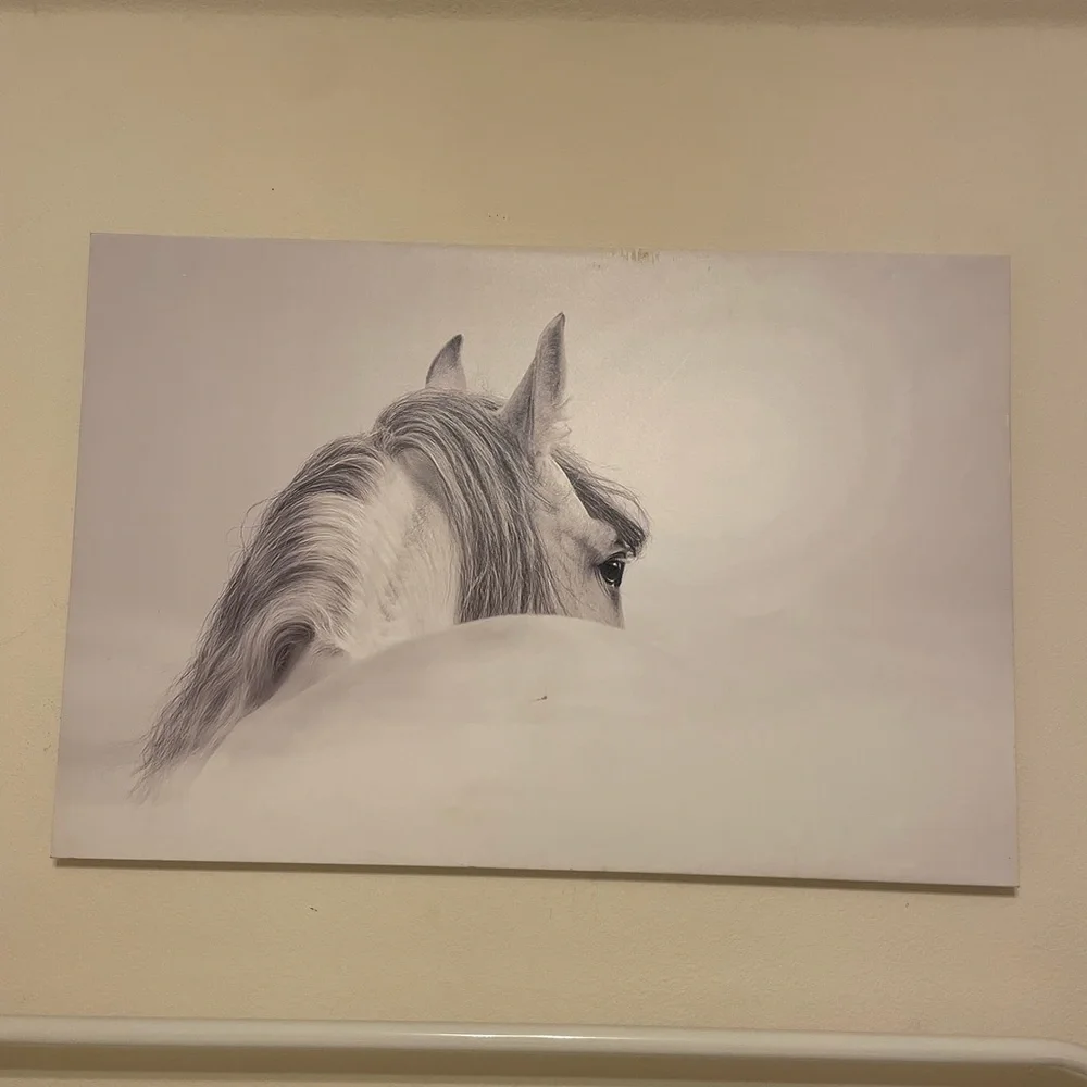 Z Gallerie Blanco Mare Horse 48